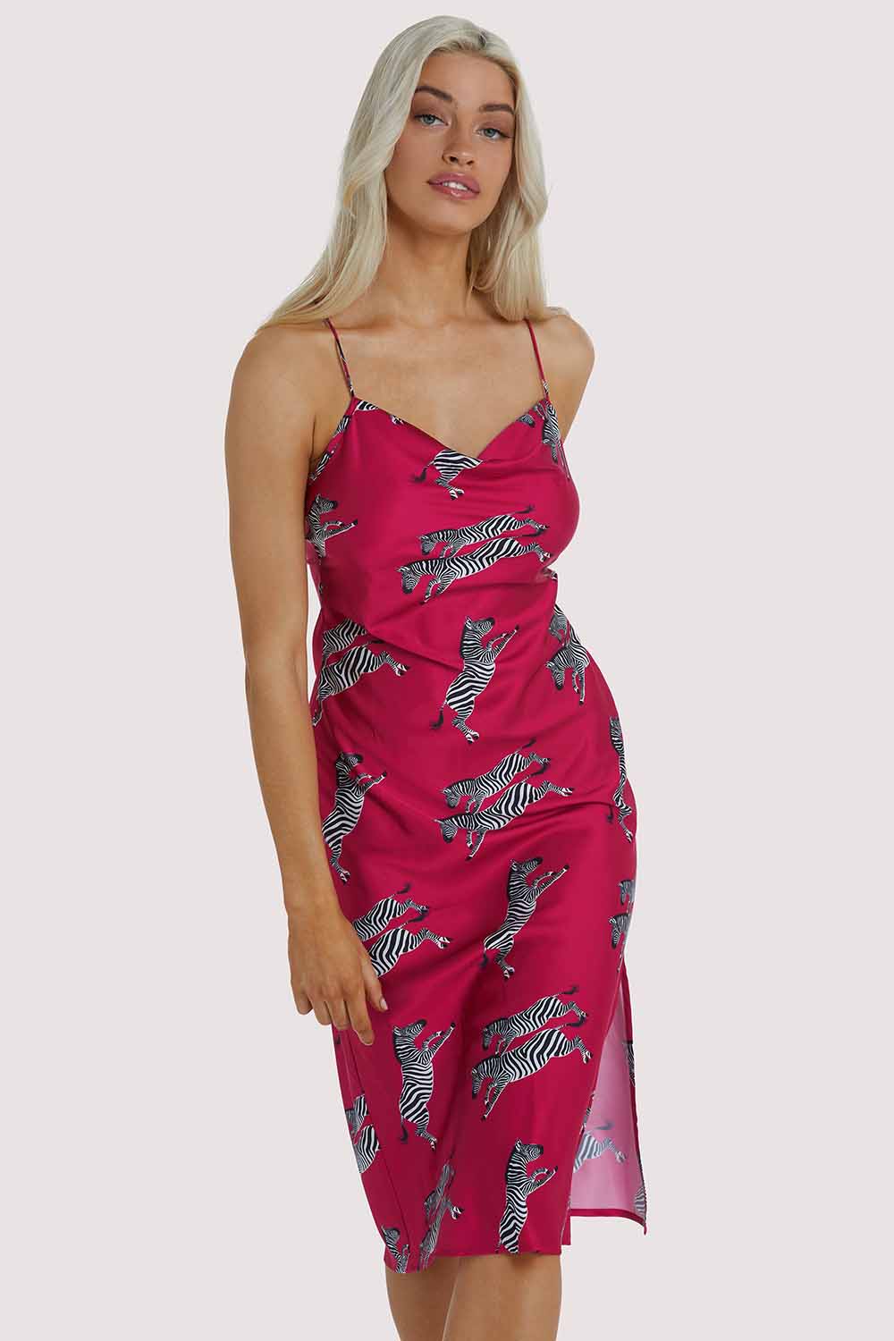 Hot Pink Zebra Dress