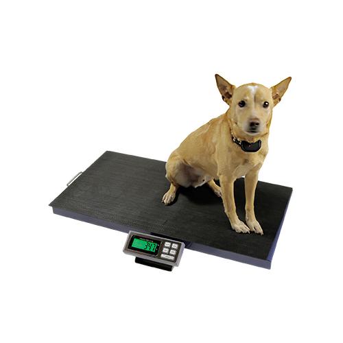 DRE Veterinary Scales