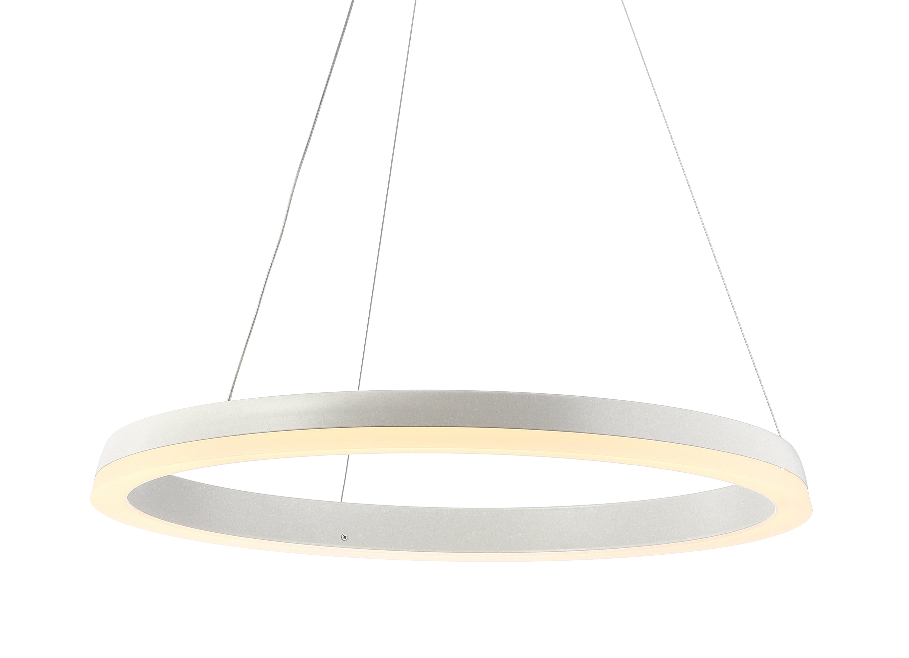 Baxter 1-Light Modern Contemporary Aluminum Integrated LED Hoop Pendant